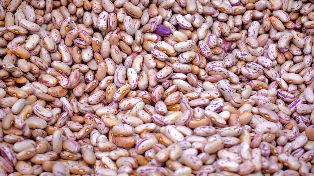 spill the beans
