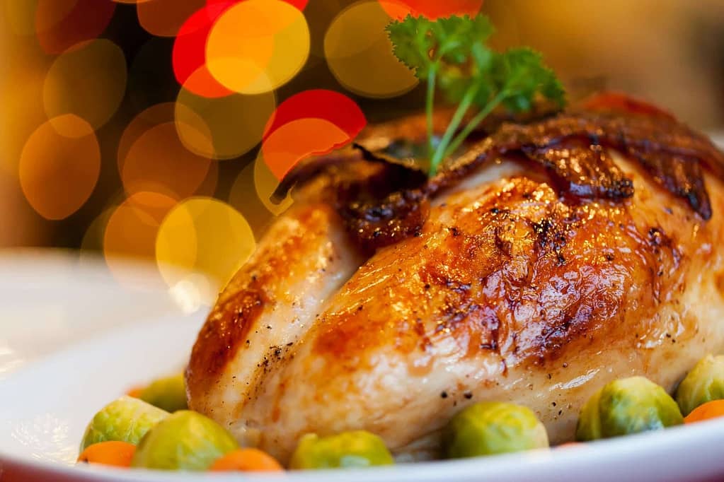 The First Thanksgiving - turkey