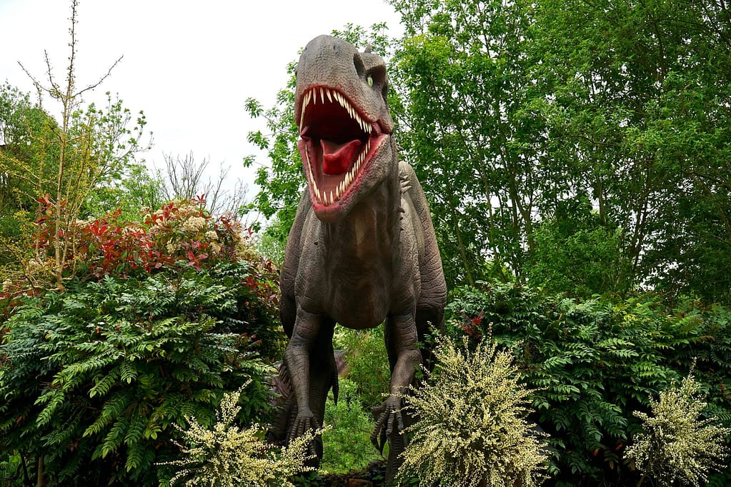 Rex