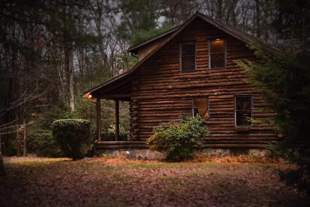cabin - The First Thanksgiving