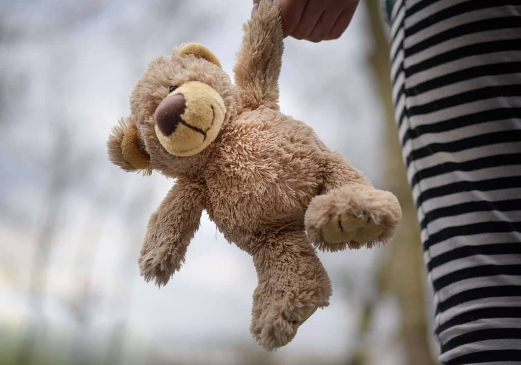 Teddy Bear for Sale