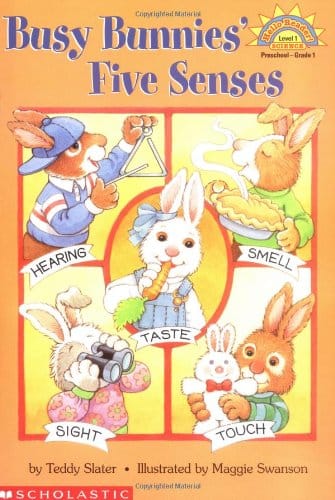 Busy Bunnies Five Senses