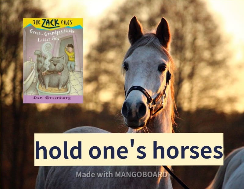 hold one's horses