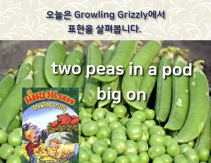 two peas in a pod, big on