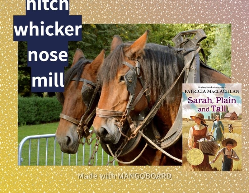 hitch, whicker, nose, mill