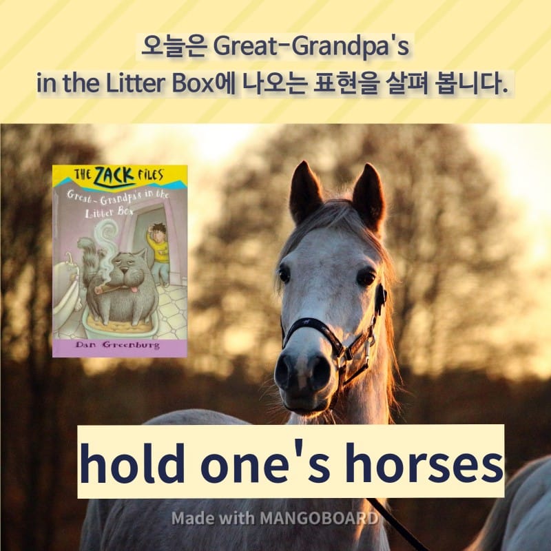 hold one's horses