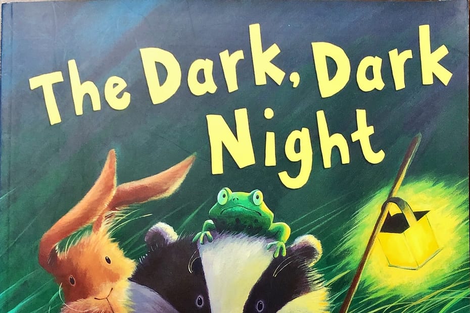 그림책 The Dark Dark Night