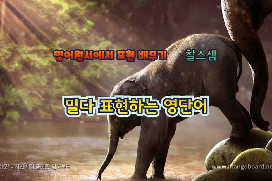 밀다 표현하는 영단어