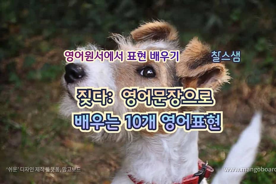 짖다 영어문장으로 배우는 10개 영어표현