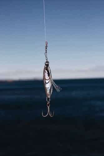 Fishing - Amelia