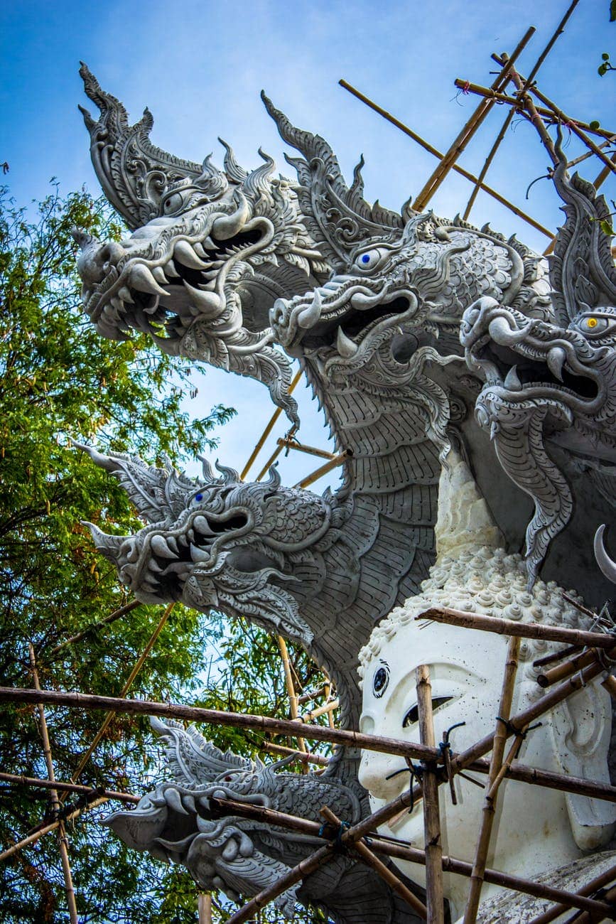 챕터북 Dragons