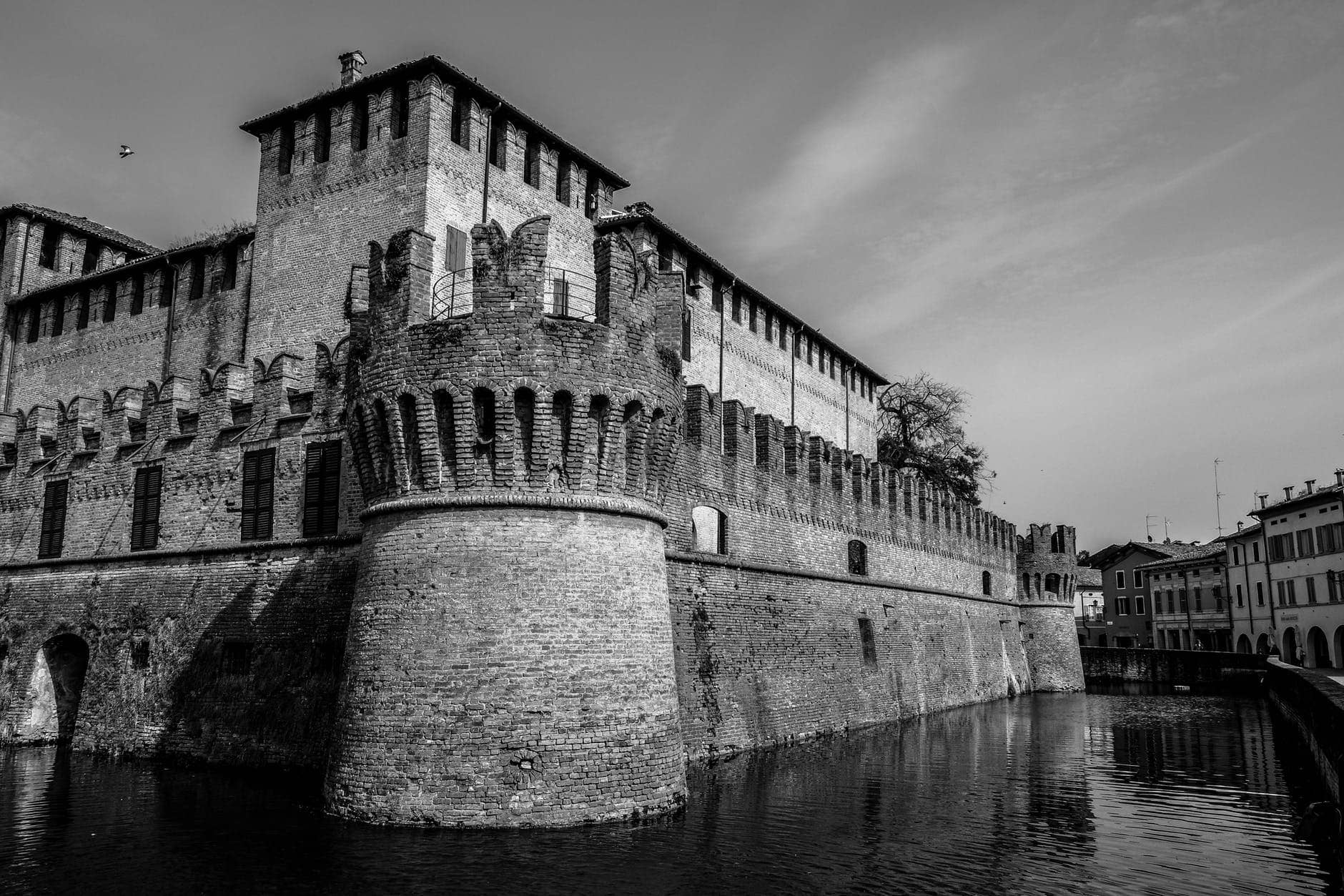 fish, moat
