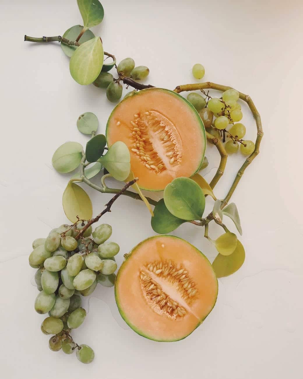 cantaloupe