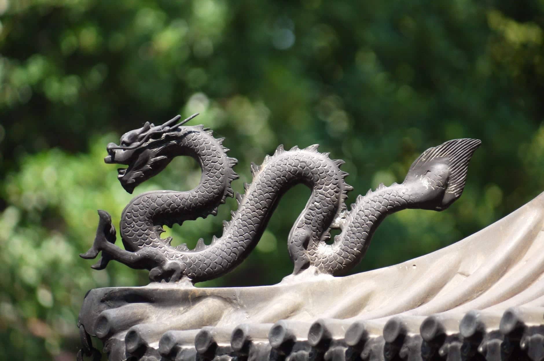 The Dragon’s Scale