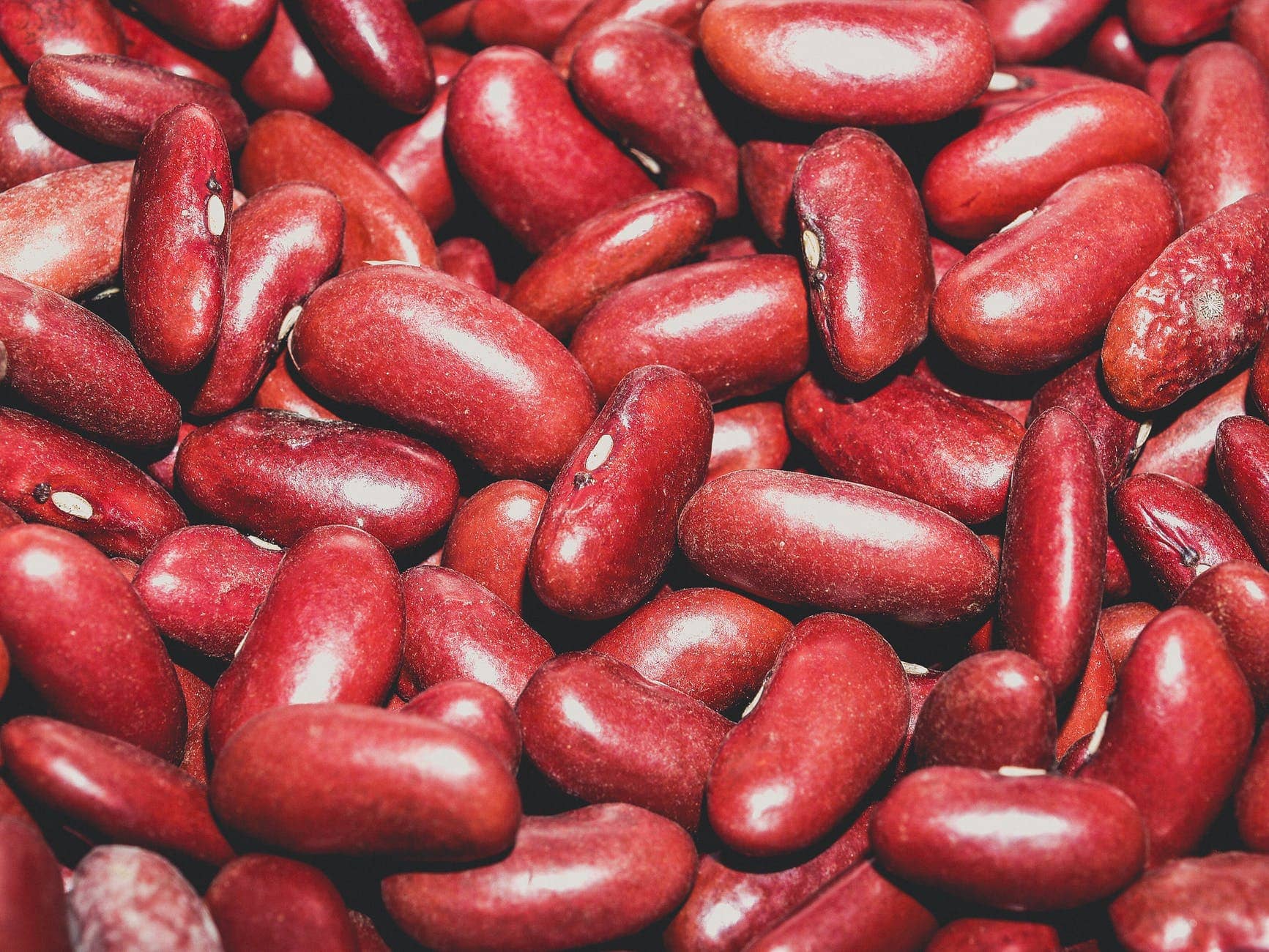 full of beans