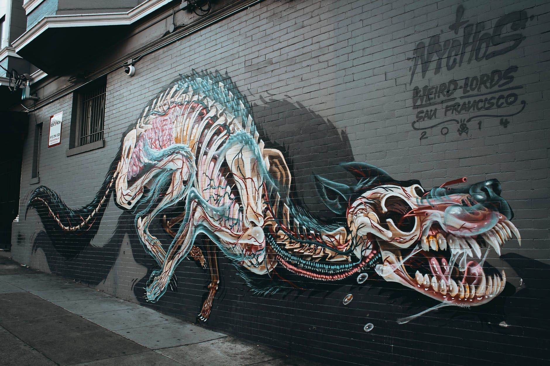 Stories of Dragons