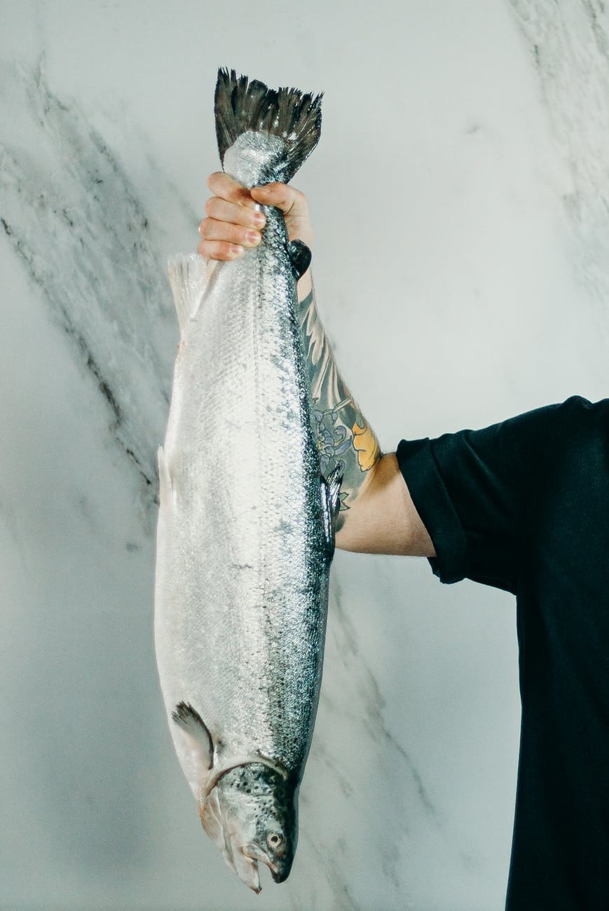 The Biggest Fish