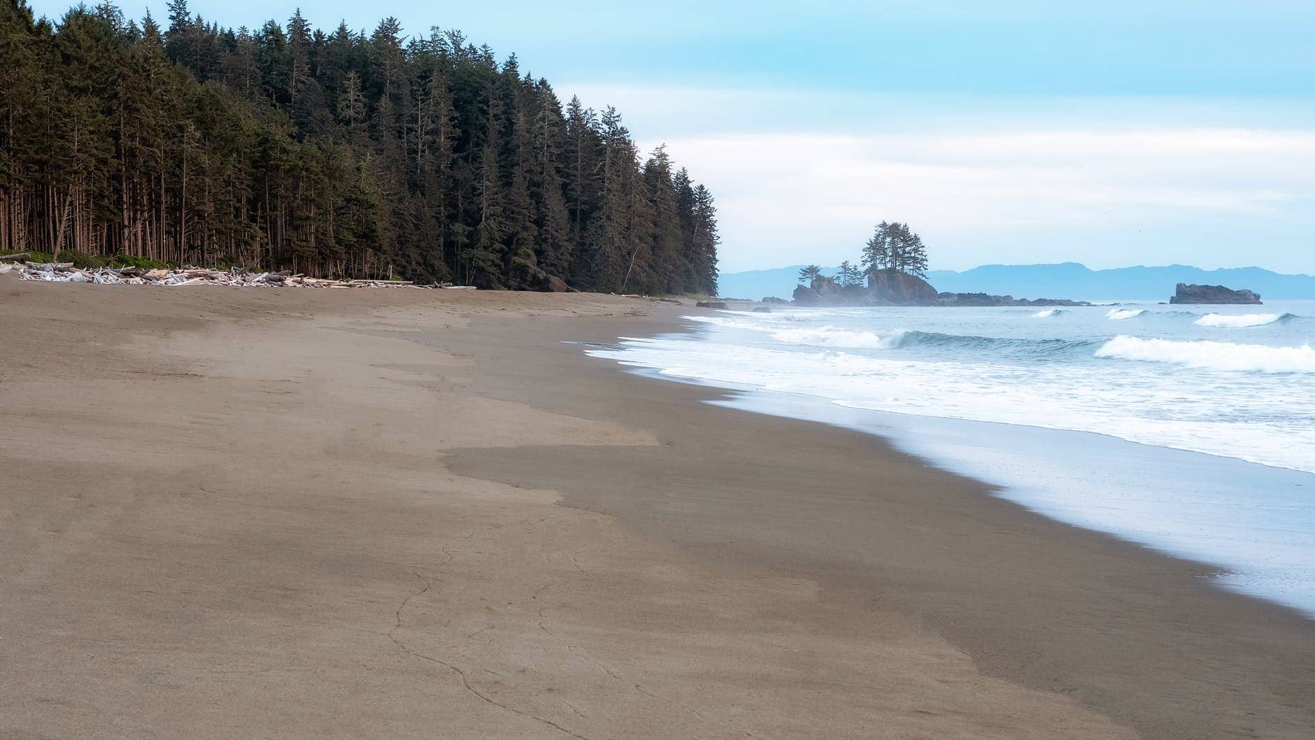 Coast clear