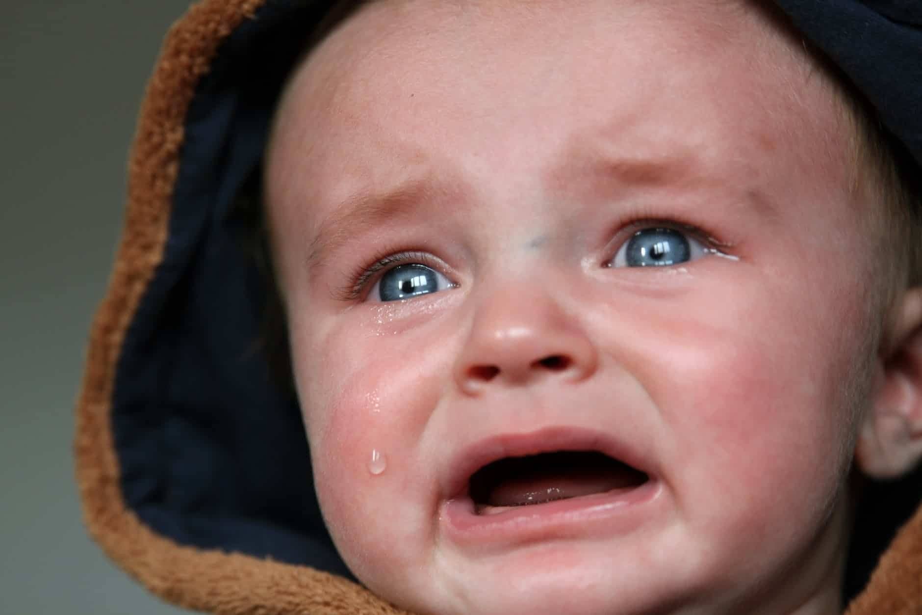 sob, cry, wail