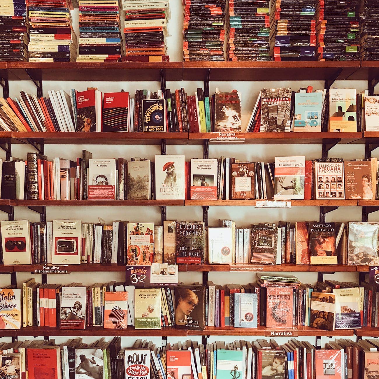 The Bookstore Burglar