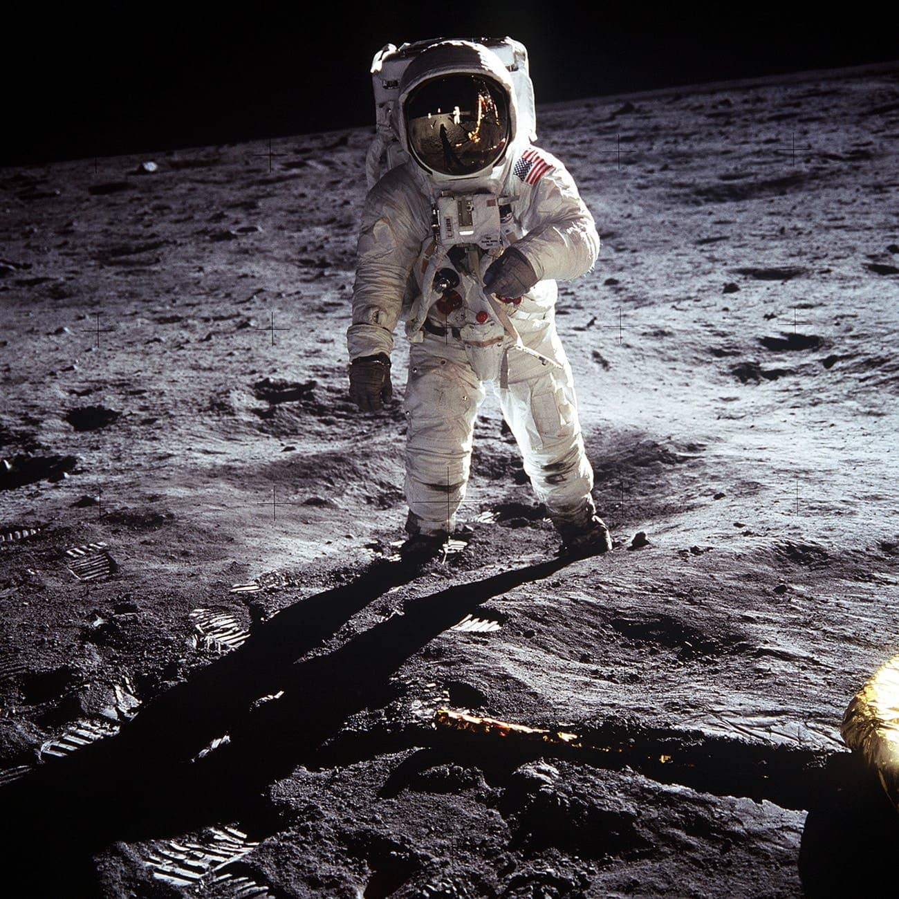 Moonwalk The First Trip to the Moon