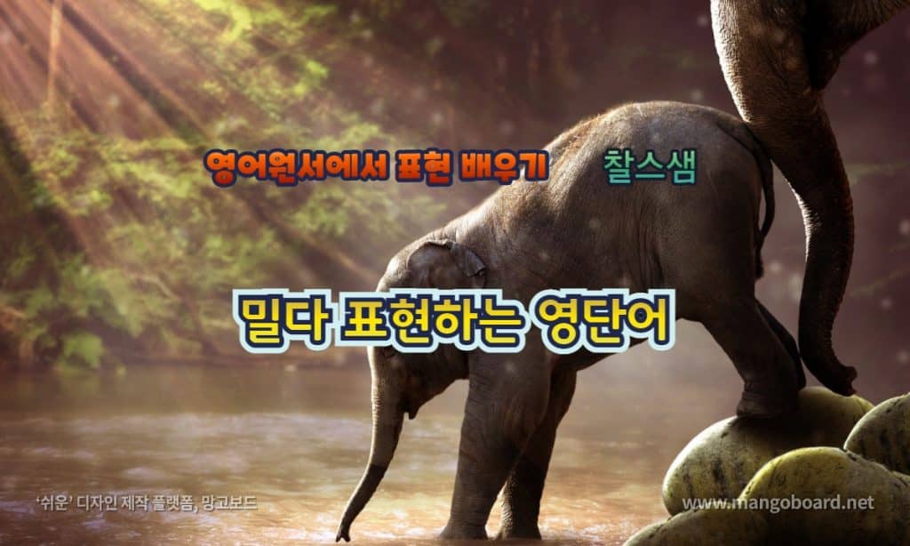 밀다 표현하는 영단어