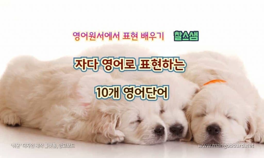 자다 영어로 표현하는 10개 영어단어