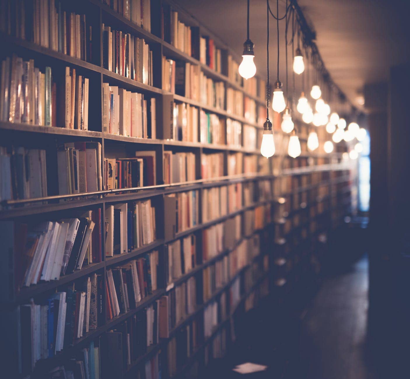 미국문화 공부 light inside library 미국문화